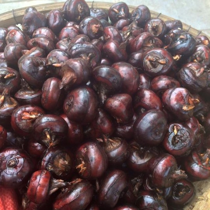 Nhiều người thường ăn củ mã thầy sống cho mát nhưng điều này lại rất nguy hiểm. Ảnh: muabannhanh.