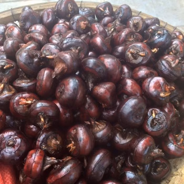 Nhiều người thường ăn củ mã thầy sống cho mát nhưng điều này lại rất nguy hiểm. Ảnh: muabannhanh.