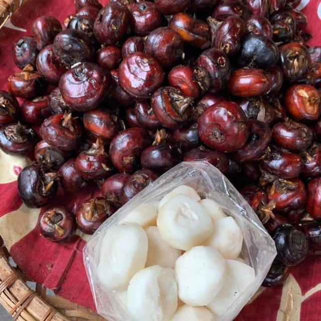 Ngoài ra, theo Đông Y, vì có tính lạnh nên mã thầy không thích hợp với những người có thể chất hoặc bệnh lý thuộc thể hư hàn. Ảnh: shopee.