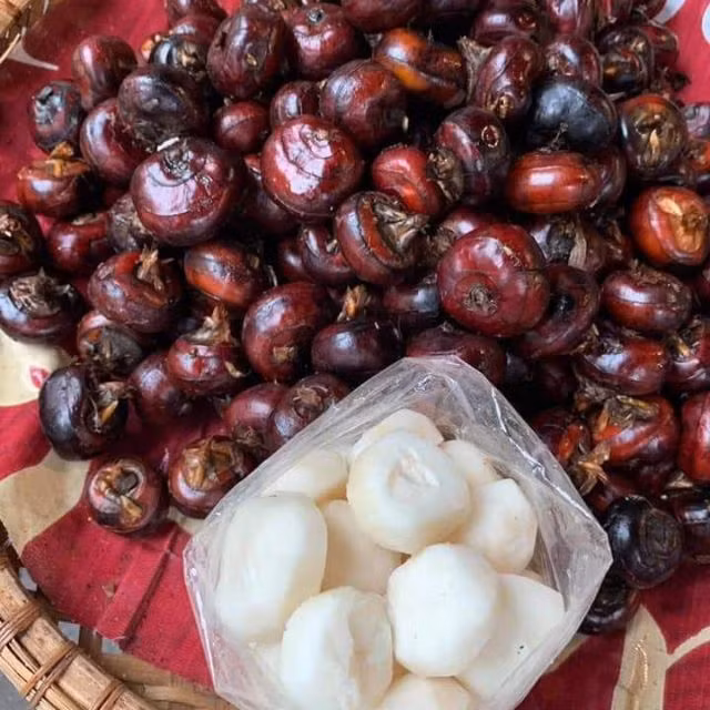 Ngoài ra, theo Đông Y, vì có tính lạnh nên mã thầy không thích hợp với những người có thể chất hoặc bệnh lý thuộc thể hư hàn. Ảnh: shopee.