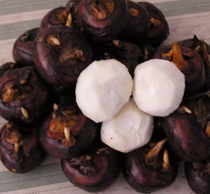 Bên cạnh đó, vỏ của củ mã thầy thường tập trung rất nhiều chất có hại cho cơ thể, có thể gây ra một số loại bệnh. Ảnh: media.