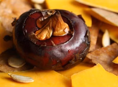 Lý do là vì củ mã thầy mọc dưới nước, có thể bị nhiễm ấu trùng sán mà người ăn không hề hay biết. Ảnh: suckhoedoisong.