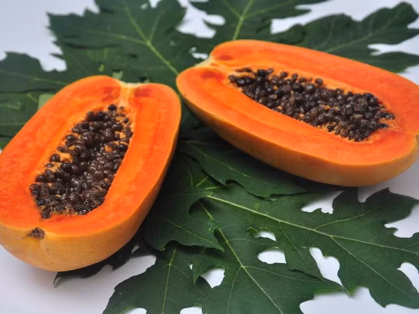 Mặt nạ sữa chua và đu đủ chứa vitamin A, B, C sẽ giúp tăng khả năng bảo vệ da và đẩy mạnh sản sinh collagen.