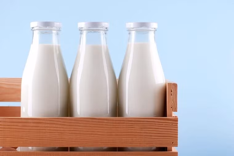 Sữa được vắt trực tiếp từ bò phải được đun sôi trước khi uống bởi nó có thể chứa vi khuẩn gây hại như E. coli và Salmonella.