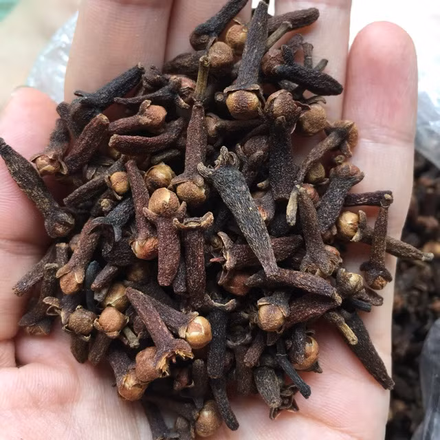 Hợp chất giảm đau trong đinh hương được gọi là eugenol. Nhiều người sử dụng đinh hương để điều trị đau đầu, viêm khớp và các dạng viêm khác, và đau răng. Ảnh: nutritionexp.