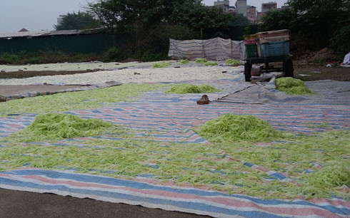 Dot nhap co so lam mut Tet “ban” tai Ha Noi