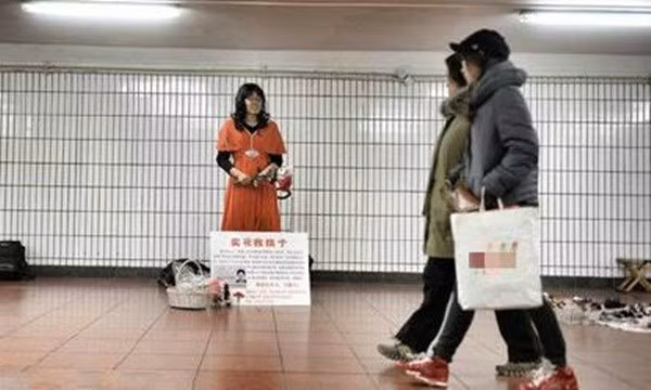 Cha gia gai de ban hoa kiem tien cuu con gay xuc dong