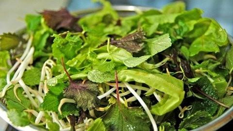 Rau sống. Ấu trùng của sán lá gan lớn được tìm thấy trên một số loại rau thủy sinh ở Việt Nam như: ngổ, cải xoong... Tuy nhiên, không chỉ các loại rau sống dưới nước mà cả những rau trồng trên cạn cũng nhiễm ký sinh trùng giun sán do được tưới bằng nước thải sinh hoạt.