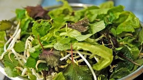 Rau sống. Ấu trùng của sán lá gan lớn được tìm thấy trên một số loại rau thủy sinh ở Việt Nam như: ngổ, cải xoong... Tuy nhiên, không chỉ các loại rau sống dưới nước mà cả những rau trồng trên cạn cũng nhiễm ký sinh trùng giun sán do được tưới bằng nước thải sinh hoạt.