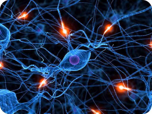 Tổn thương hệ thần kinh. Bột ngọt có chứa lớp hóa chất gọi là excitotoxins. Excitotoxins là những chất gây tổn thương não và tổn thương đến hệ thống thần kinh trung ương. Excitotoxins có xu hướng ảnh hưởng đến phần hypothalmus của não, kiểm soát các chức năng quan trọng của cơ thể chẳng hạn như sự tăng trưởng, mô hình giấc ngủ, tuổi dậy thì và ngay cả sự thèm ăn.