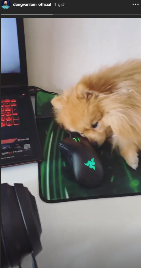 Phi cuoi voi cach Phan Van Duc “dim hang” vo, Quynh Anh tranh thu di xa hoi-Hinh-3