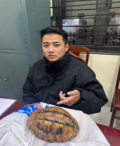 Hà Nội: Khởi tố đối tượng vận chuyển, mua bán rùa quý hiếm Ha Noi: Khoi to doi tuong van chuyen, mua ban rua quy hiem