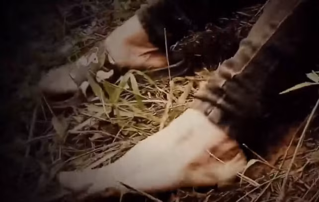 Do sợ bị mọi người phát hiện, Hoát đã nhặt chiếc áo khoác của Bê quấn hai vòng quanh cổ nạn nhân thít chặt lại và buộc thắt nút ở phía sau. Nạn nhân Bê bị siết cổ giãy dụa ngã xuống đất và lăn xuống phía dưới khoảng 2m thì Hoát lao theo ngồi lên lưng của Bê và tiếp tục siết chặt chiếc áo trên cổ cho đến khi nạn nhân không cử động nữa thì dừng lại. Thấy nạn nhân nằm bất động, Hoát nghĩ Bê giả vờ chết liền lật người và cắn vào ngực để kiểm tra nhưng không thấy nạn nhân phản ứng gì.