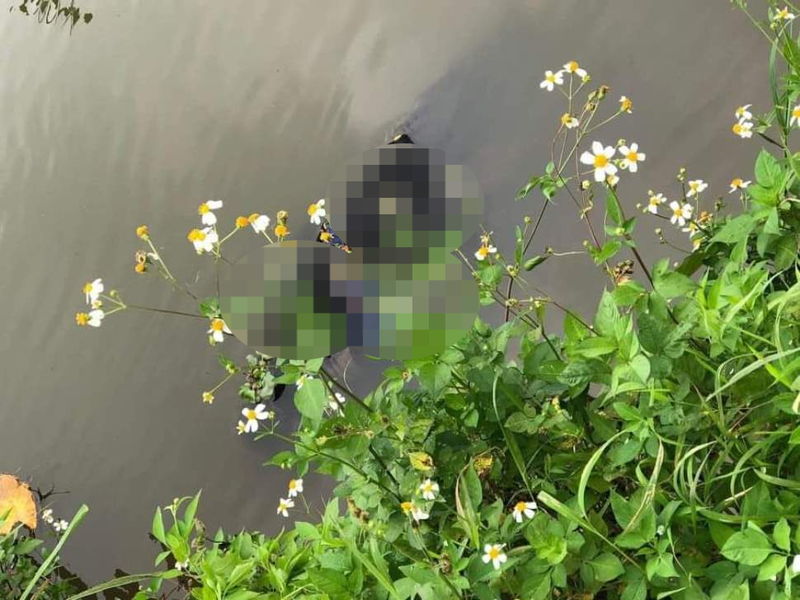  Cụ bà 84 tuổi tử vong bên bờ sông: Ngày 13/4, UBND xã Đông Quang (huyện Đông Hưng, tỉnh Thái Bình) cho biết, người dân vừa phát hiện một thi thể nữ dưới sông Sa Lung chảy qua cánh đồng thuộc địa bàn xã Đông Quang. Danh tính người phụ nữ tử vong là cụ Phạm Thị Ch. (84 tuổi, trú xã Đông Dương, huyện Đông Hưng). Sau khi hoàn tất các thủ tục theo quy định, thi thể nạn nhân đã được bàn giao cho gia đình lo hậu sự. 