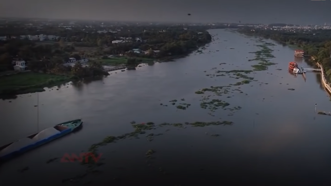 Ông Cò và bà Kiều lấy nhau vào năm 1992, tiếp nối nghề đánh cá trên sông Sài Gòn cho đến ngày bị sát hại. Đêm đến, vợ chồng ngủ trên ghe neo đậu tại bến đò ấp 1, xã Bình Mỹ. Quốc sống với ông bà ngoại ở huyện Tân Thành (Bà Rịa - Vũng Tàu), đầu tháng 6/2001, vợ chồng ông Cò về quê, sẵn dịp hè đưa con đến TP HCM chơi, ở chung trên ghe. Còn bé Quân vừa tròn 1 tuổi vào ngày 2/7/2001.