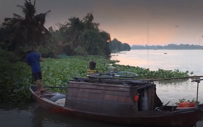 Bà con ở bến đò Bình Mỹ cho biết, vợ chồng ông Cò hiền lành, chí thú làm ăn. Ông là thợ lặn giỏi. Người nhà nạn nhân cho biết, gần 10 năm tích cóp, vợ chồng ông Cò mới mua được miếng đất, chuẩn bị cất nhà thì tai họa ập xuống. Ba mẹ con bà Kiều được chính quyền địa phương chôn cất tại xã Phú An (huyện Bến Cát), còn ông Cò được người thân đưa đi hỏa táng.