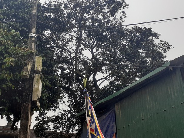  Trèo hái vú sữa, 1 phụ nữ rơi tử vong: Ngày 10/4, thông tin từ UBND xã Thanh Lương (huyện Thanh Chương, tỉnh Nghệ An) cho biết, trưa 9/4, trong lúc trèo hái vú sữa, bà Nguyễn Thị Xuân (56 tuổi ở xã Thanh Lương) bị rơi xuống đất, tử vong. Được biết, lúc hái vú sữa, bà Xuân ở nhà một mình. Gia đình bà Xuân có hoàn cảnh khó khăn. Chồng bà mới qua đời năm 2021. Hiện trong nhà có 3 người con thì 1 người tàn tật. 