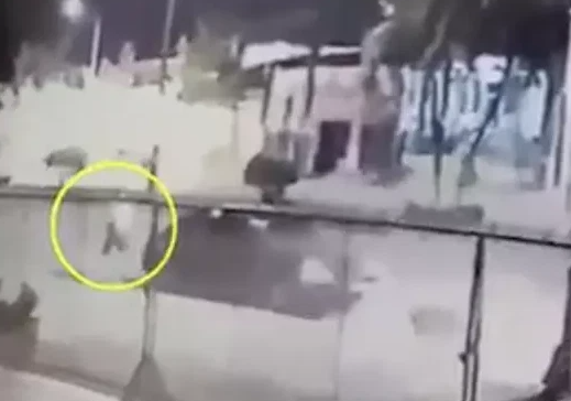 Chan dung “Giang ho Ben Tre” Tung Em vua bi truy sat trong dem