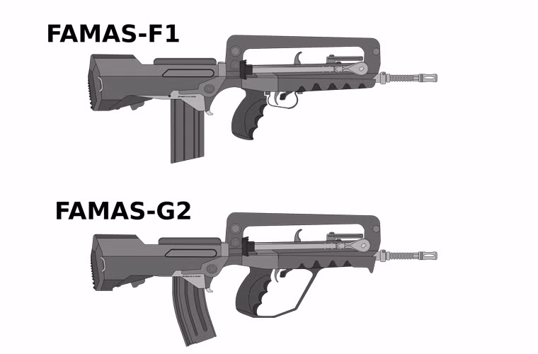 FAMAS được sản xuất với khá nhiều biến thể, gồm: F1 là biến thể sản xuất loạt đầu tiên với hơn 400.000 khẩu đã được xuất xưởng; FAMAS G1 là biến thể cải tiến của FAMAS F1; FAMAS G2 biến thể sản xuất năm 1994.