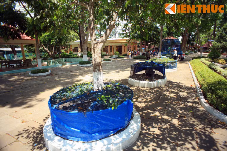 Nằm ở xã Tân Thuận, huyện Châu Thành, tỉnh Tiền Giang, trại rắn Đồng Tâm (Trung tâm nuôi trồng nghiên cứu chế biến dược liệu Quân khu 9) được mệnh danh là vương quốc các loài rắn của Việt Nam, với hơn 400 loài rắn các loại đang được nuôi dưỡng tại nơi đây.