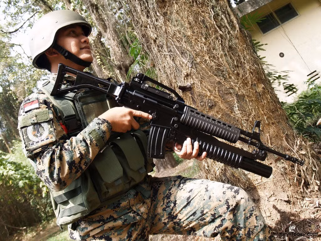 SS2 sử dụng cơ chế nạp đạn bằng khí nén, bolt xoay với cơ chế trích khí dài, thanh truyền động ở phía trên nòng súng. Thân súng súng được chia làm hai phần trên và dưới, hai phần này được gắn với nhau bởi đinh ghim. Nút kéo lên đạn nằm ở phía bên phải súng và nó sẽ chuyển động khi bắn. Nút khóa an toàn cũng là nút chọn chế độ bắn nằm ở phía trái súng với các chế độ bắn phát một và tự động. Báng súng có thể gấp sang bên.