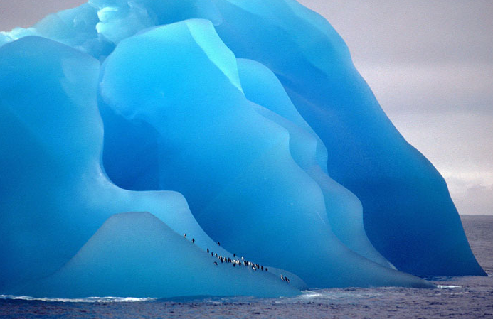 Đây không phải là bức tranh, mà là một tảng băng.