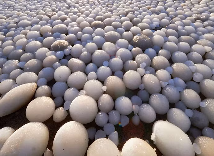 Những quả trứng băng - hiện tượng hiếm gặp này xảy ra khi băng bị lăn tròn vì gió và nước.