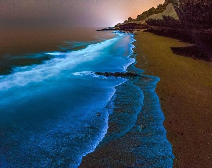 Bãi biển tự "phát sáng" ở Vịnh Ba Tư.