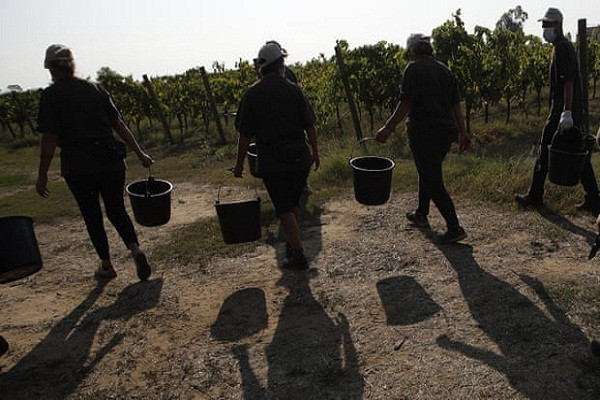 Hai ca chua giua nang nong thieu dot, thanh nien 27 tuoi tu vong