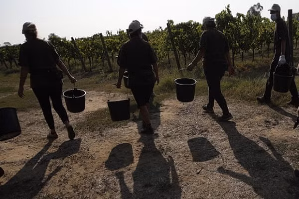 Hai ca chua giua nang nong thieu dot, thanh nien 27 tuoi tu vong