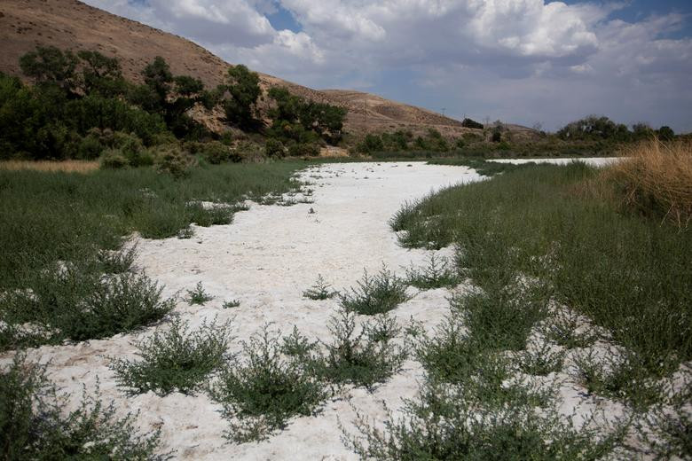 Quang cảnh ở hồ Elizabeth khô cạn ngày 18/6.