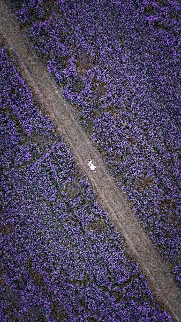 Một "tác phẩm" khác chứng minh sự nhỏ bé của con người giữa thiên nhiên được chụp tại Yuzhno-Sakhalinsk, Nga.