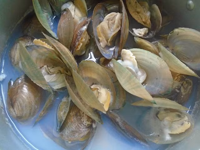 4 mon ngon kho cuong tu thit trai nhin da them-Hinh-2