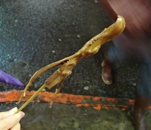 Bạn sẽ bắt gặp món lưỡi vịt chiên, nướng bày bán khắp khu chợ đêm ở Đài Loan. Hương vị đặc biệt khiến nó trở thành món ăn vặt phổ biển ở đây. Ảnh: Teachenglishinasia.