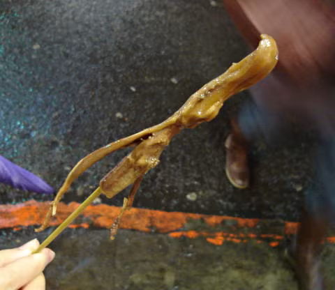 Bạn sẽ bắt gặp món lưỡi vịt chiên, nướng bày bán khắp khu chợ đêm ở Đài Loan. Hương vị đặc biệt khiến nó trở thành món ăn vặt phổ biển ở đây. Ảnh: Teachenglishinasia.