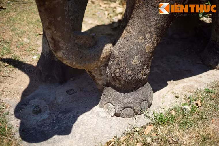 Chân voi được tạo hình với đầy đủ năm móng.