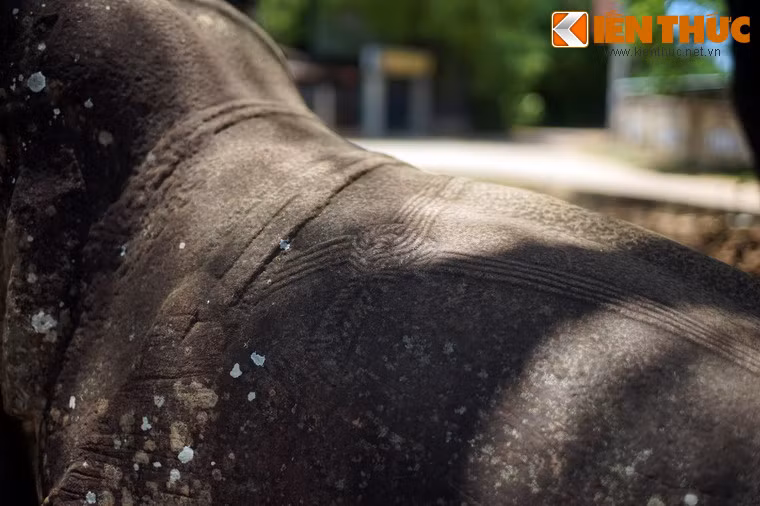 Lưng voi có các dải dây thừng vắt qua.