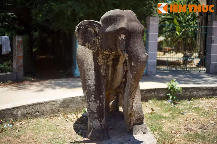 Một số hình ảnh khác về voi đá cổ thành Đồ Bàn.