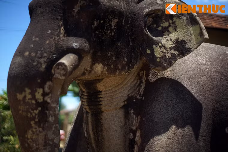 Cổ voi đeo vòng, ngà đã bị cụt, không rõ là chủ ý tạo hình của người xưa hay voi từng có ngà dài, nhưng đã bị cụt sau các thăng trầm lịch sử.