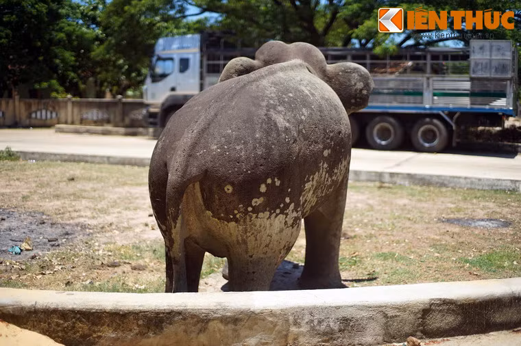 Sau 1.000 năm lịch sử, cặp voi trở thành những dấu tích hiếm hoi còn sót lại của kinh đô vương quốc Chăm Pa xưa.