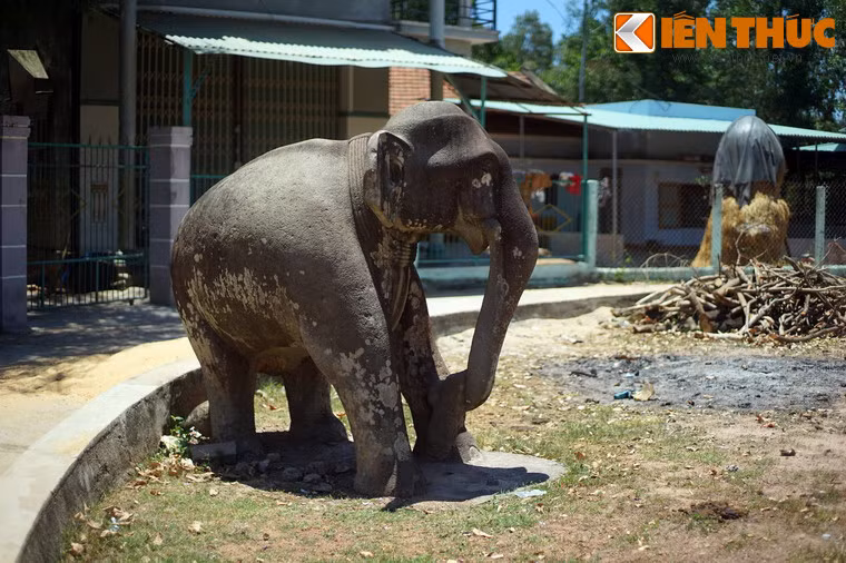 Khi nhìn từ xa, bức tượng không khác gì một con voi thật.