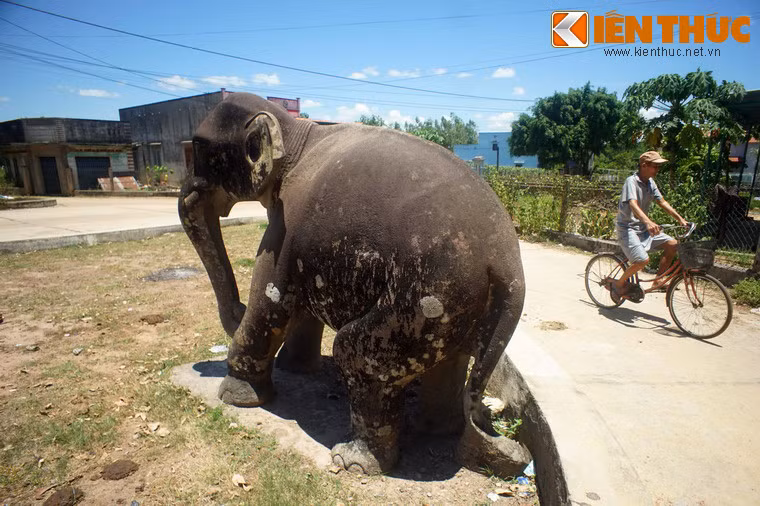 Cặp voi này được đặt đối xứng nhau ở trung tâm thành cổ, gồm một voi lớn và một voi nhỏ. Trong đó, voi lớn cao tới 2m, được coi là tượng voi lớn nhất từng được biết tới của điêu khắc Chăm.