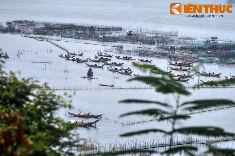 Tô điểm cho khung cảnh nên thơ của đầm là những con thuyền của hàng trăm hộ dân chài sinh sống rải rác trong đẩm.