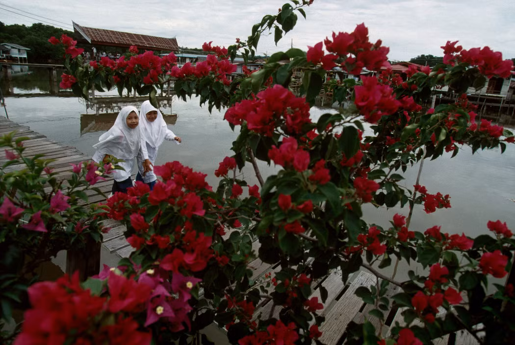 Trong công viên Tasek Merimbun ở Tutong. Ảnh: Gueorgui Pinkhassov.