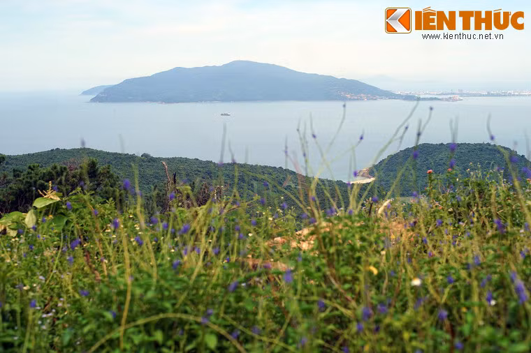 Do địa thế đặc biệt, cảnh quan của vịnh Đà Nẵng có nhiều điểm nhấn hấp dẫn cùng mặt biển lặng sóng và thảm động thực vật tự nhiên rất phong phú.