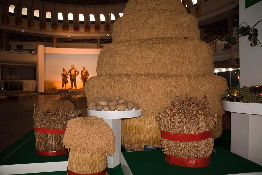 Các loại nông sản được trưng bày tại cung triển lãm Ba cuộc Cách mạng ở Bình Nhưỡng. Ảnh: Hiroji Kubota/ Magnum Photos.