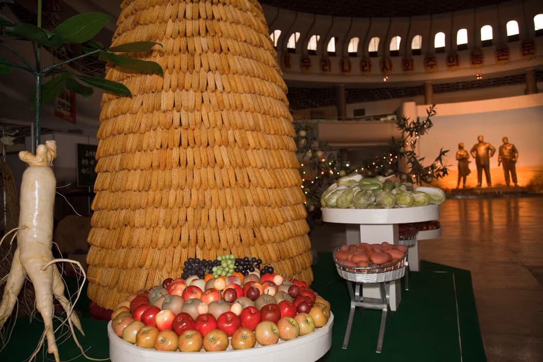 Các loại nông sản được trưng bày tại cung triển lãm Ba cuộc Cách mạng ở Bình Nhưỡng. Ảnh: Hiroji Kubota/ Magnum Photos.