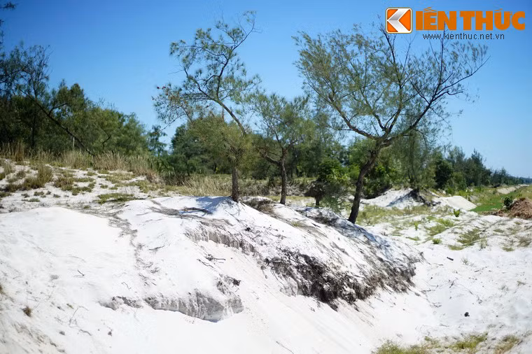 Những vùng đất có cát trắng rất cằn cỗi, hầu như không thể canh tác nông nghiệp.