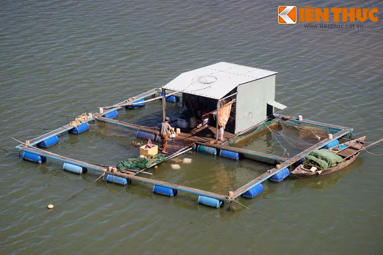 Không chỉ có khung cảnh đẹp, cầu Cửa Đại còn đem lại một góc nhìn thú vị từ trên cao về đời sống của người dân vùng sông nước.