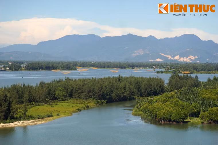 Những cù lao um tùm cây cối giữa sông Thu Bồn.